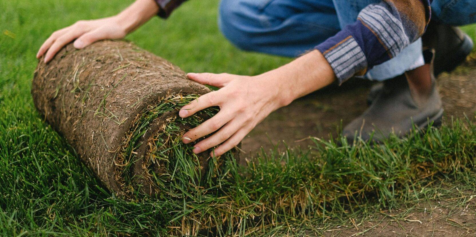 Mantenimiento de jardines y poda de árboles en Murcia